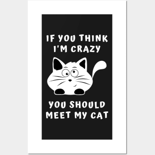 If You Think I'm Crazy, You Should Meet My Cat Posters and Art